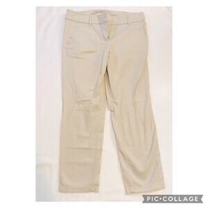 Loft Roll Cuff Chinos